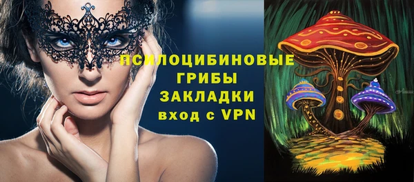 хмурый Нея